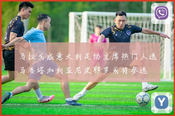马拉戈成意大利足协主席热门人选马洛塔加利亚尼皮耶罗或将参选