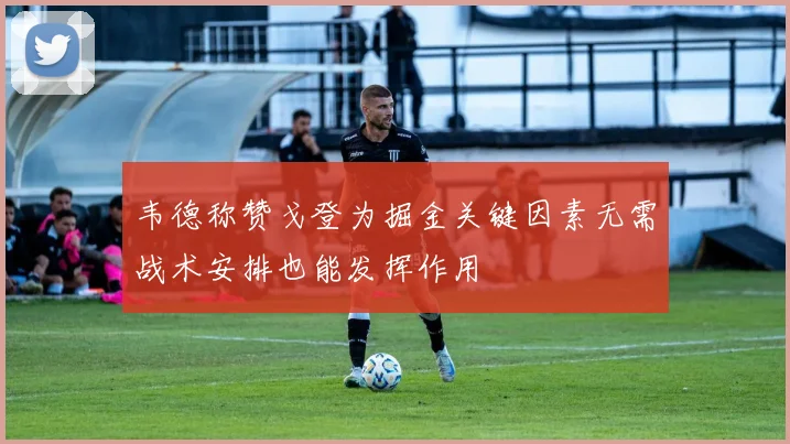 韦德称赞戈登为掘金关键因素无需战术安排也能发挥作用
